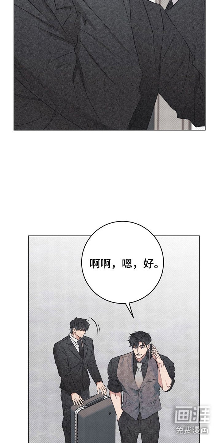 第13章：原因