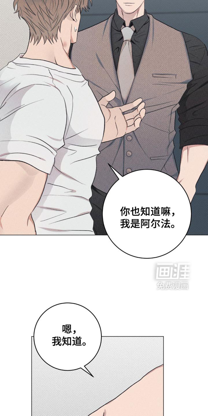 第16章：明晃晃的标记