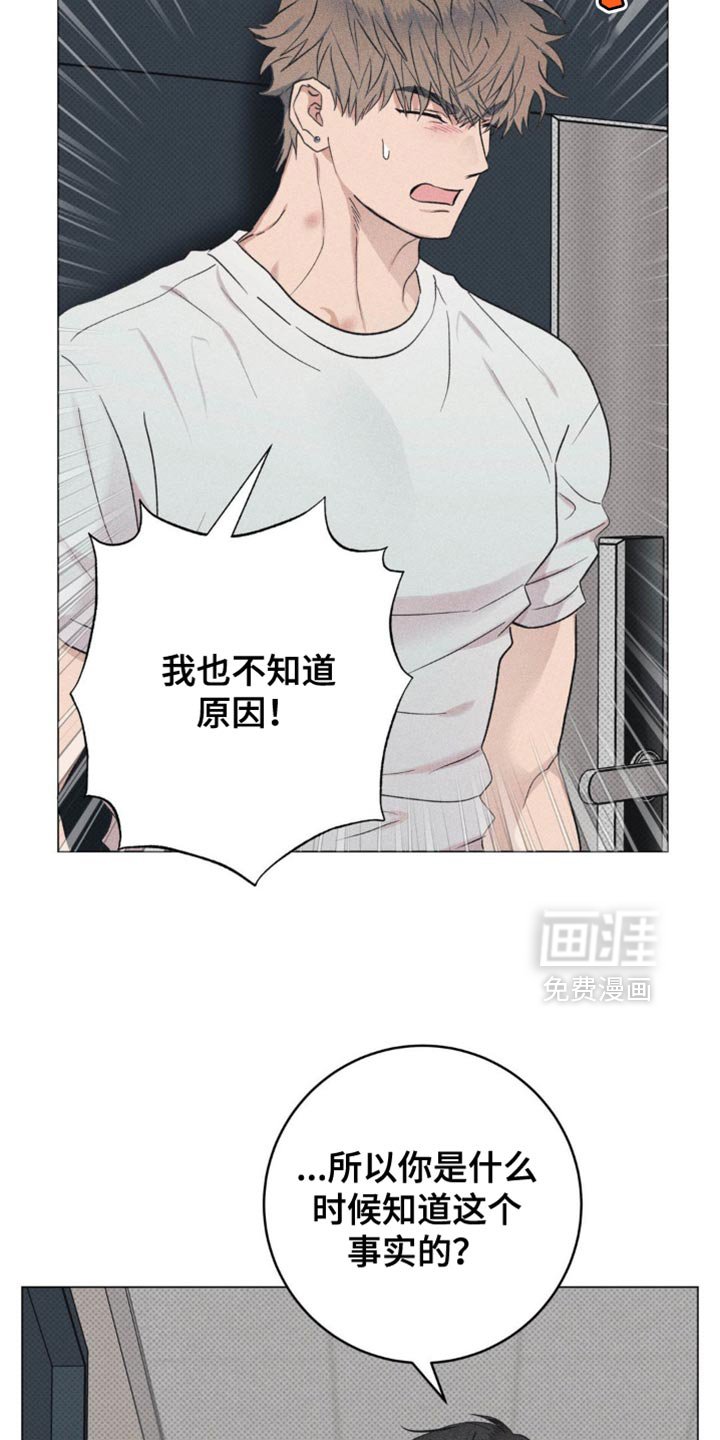第16章：明晃晃的标记