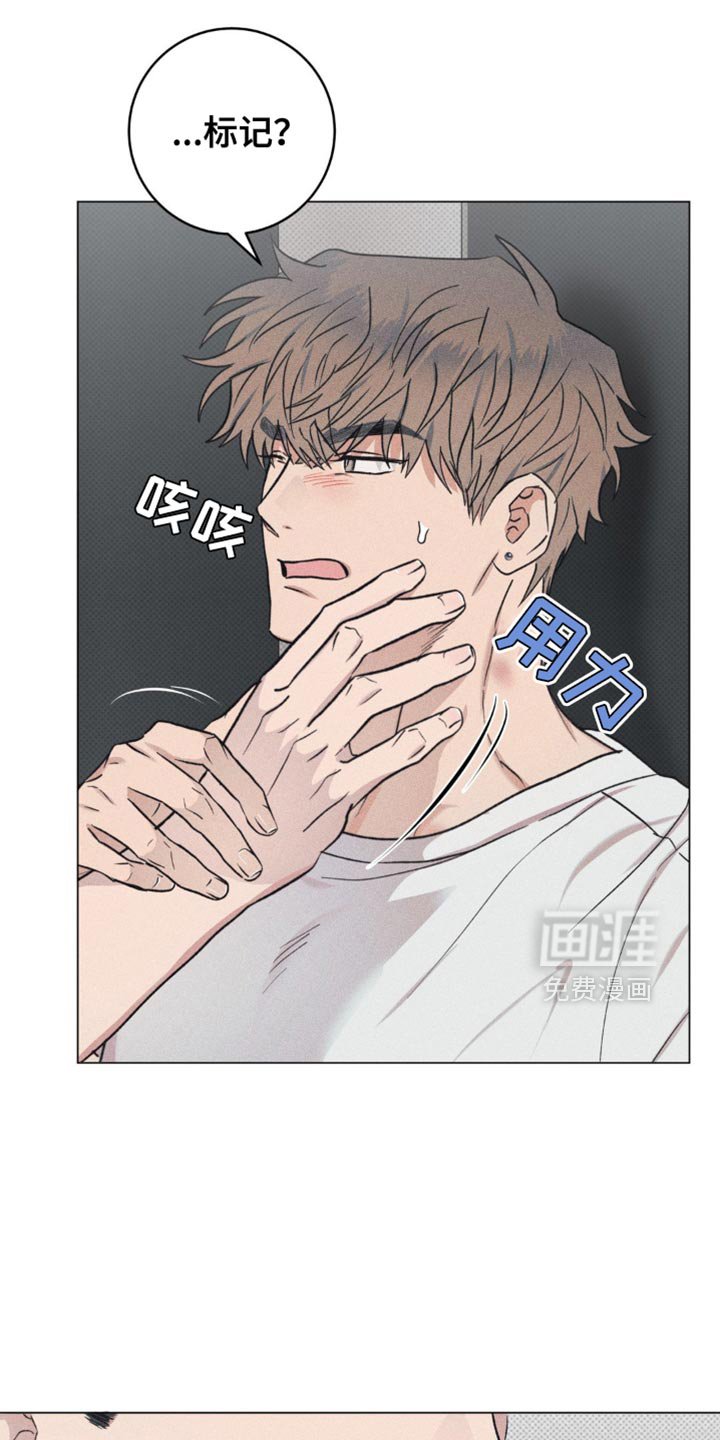 第17章：我帮你覆盖掉