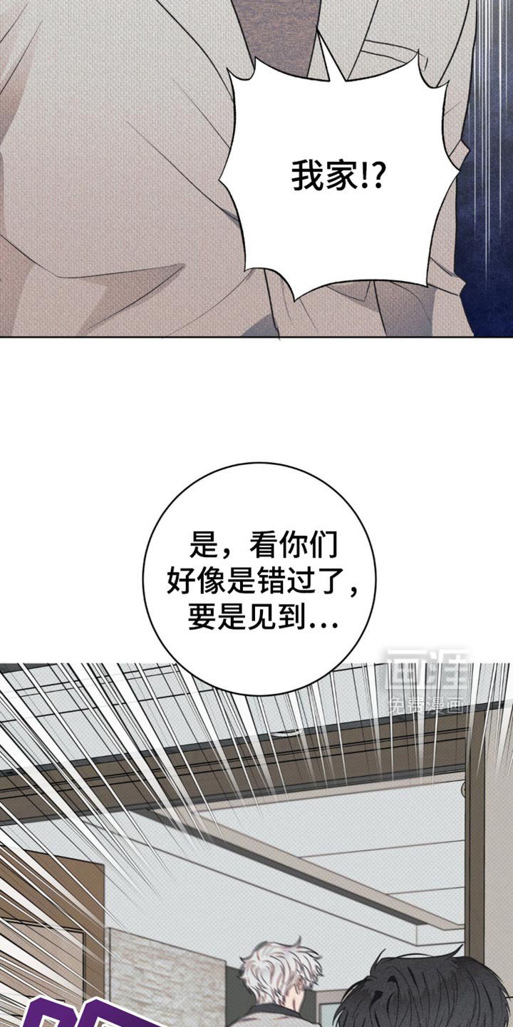 第20章：因为我