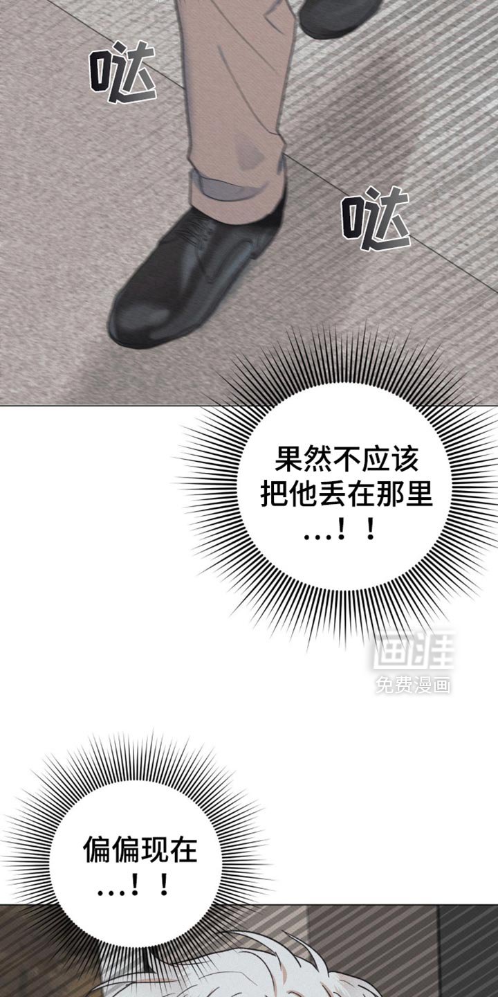 第20章：因为我
