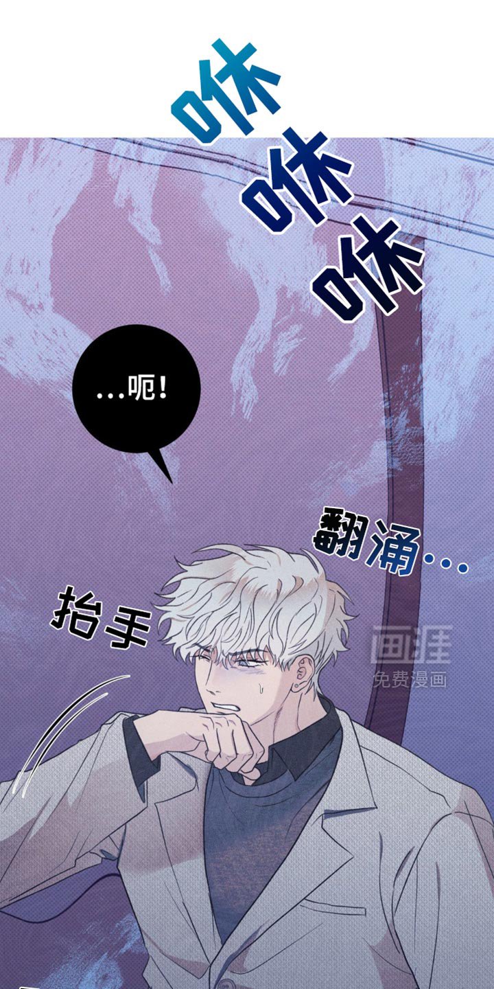 第21章：什么意思