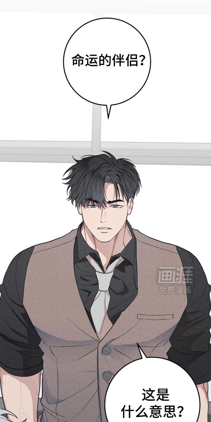 第21章：什么意思