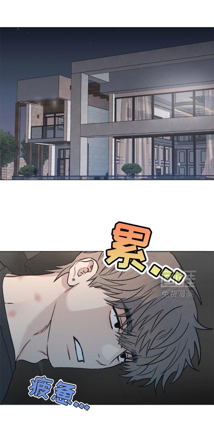 第28章：小猫咪