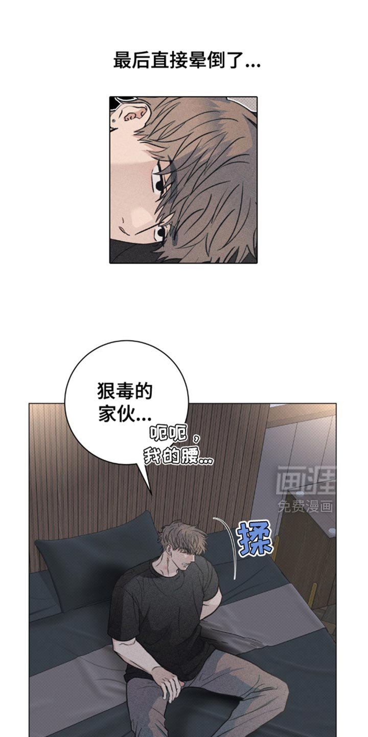 第28章：小猫咪