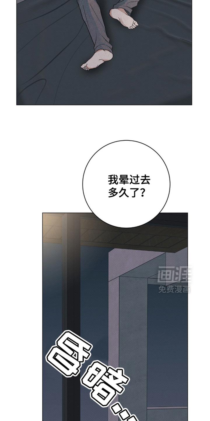 第28章：小猫咪