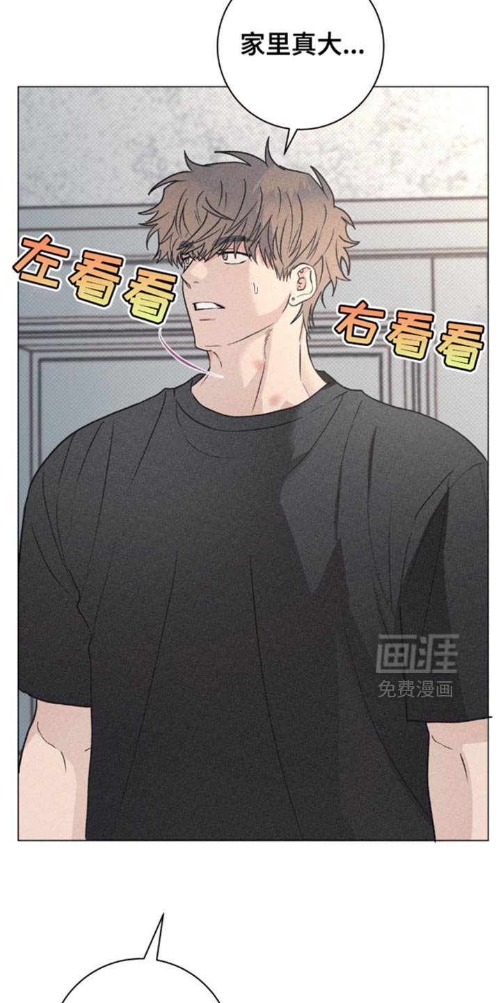 第28章：小猫咪