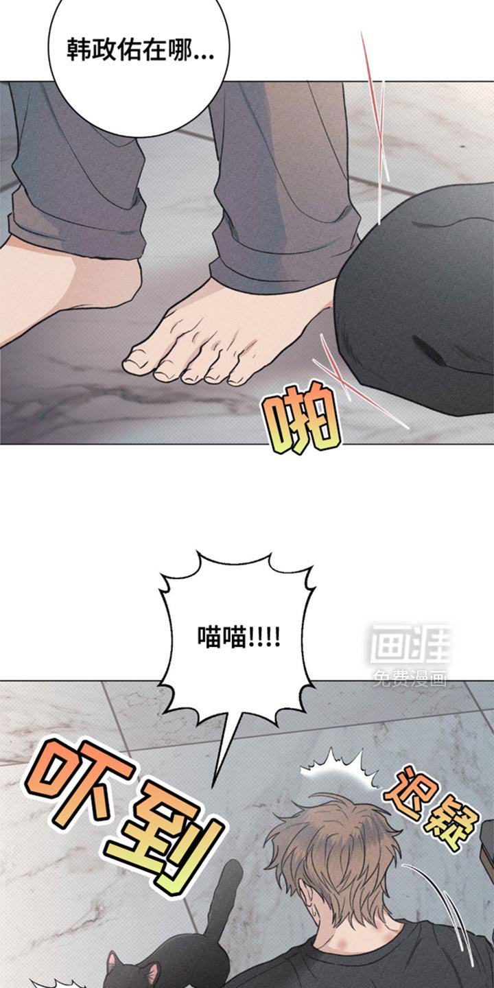 第28章：小猫咪