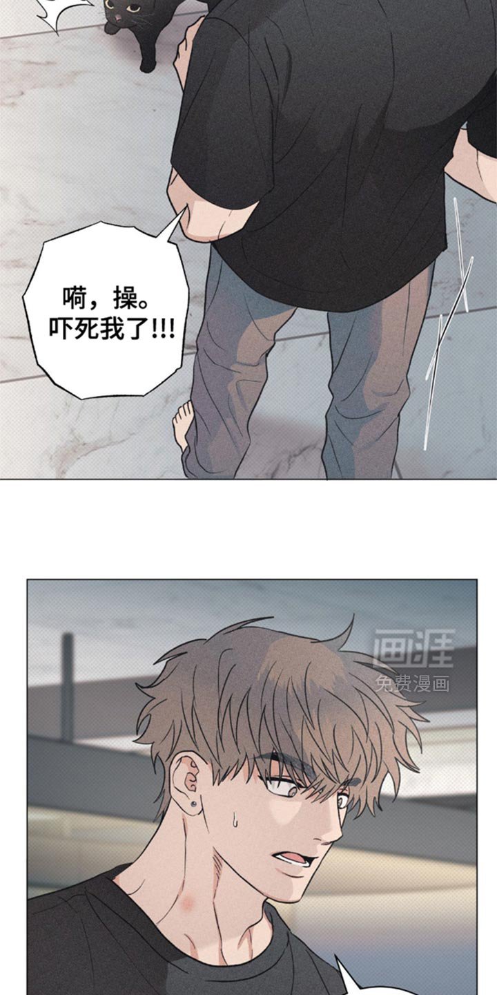 第28章：小猫咪