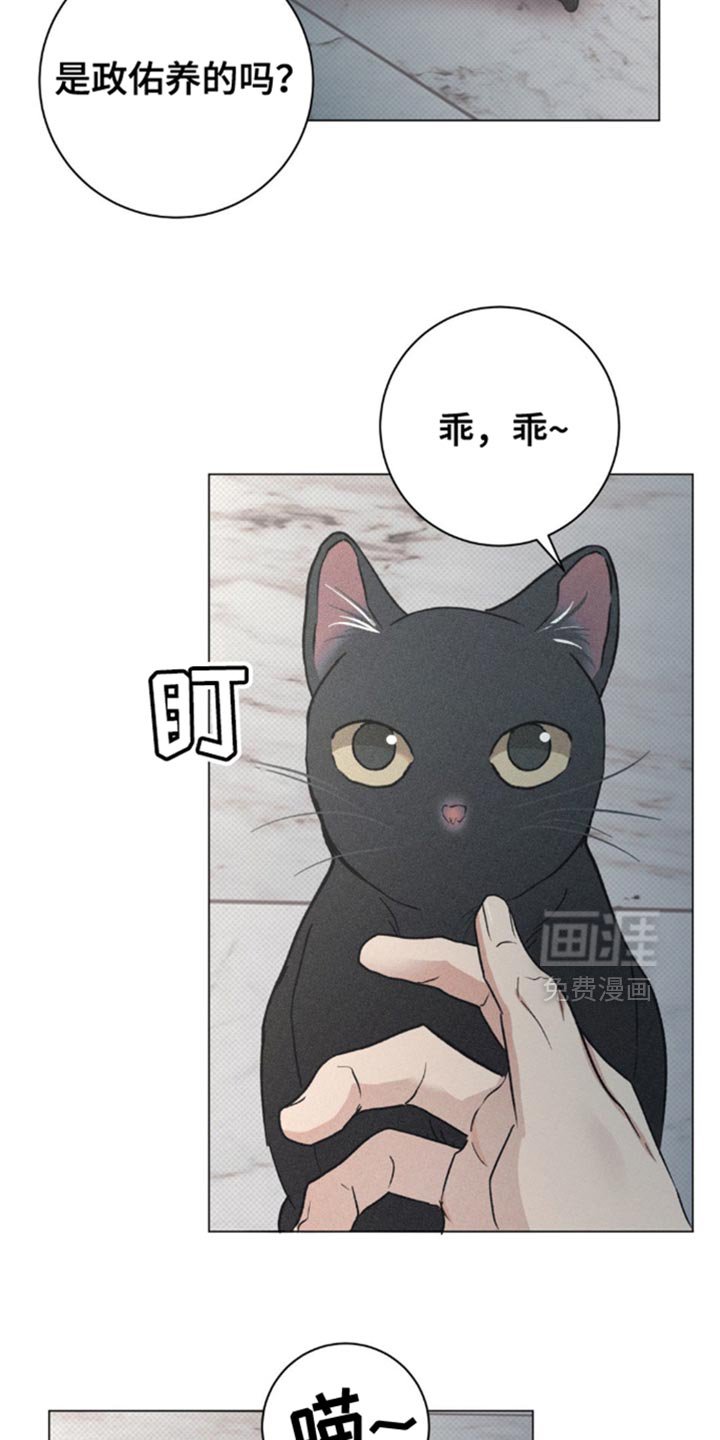 第28章：小猫咪
