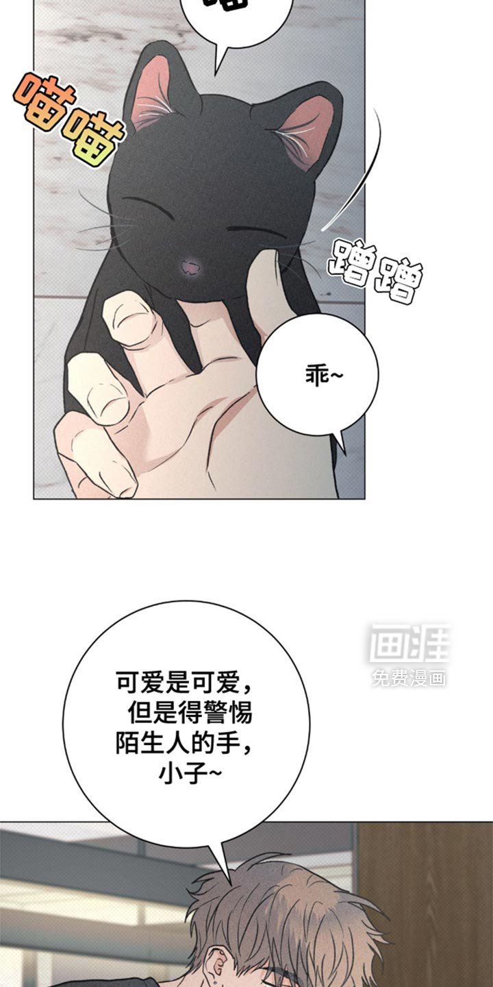 第28章：小猫咪