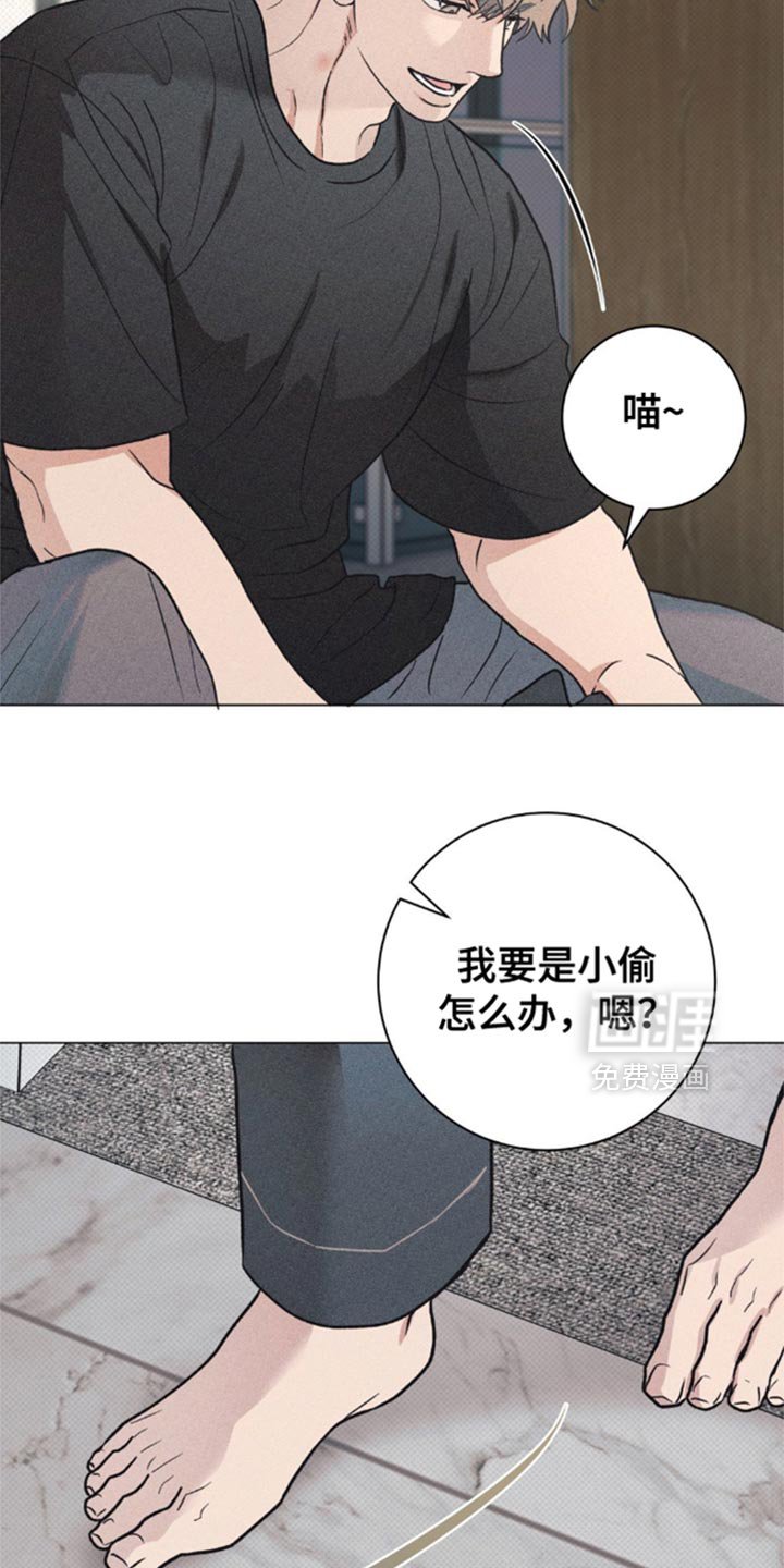 第28章：小猫咪