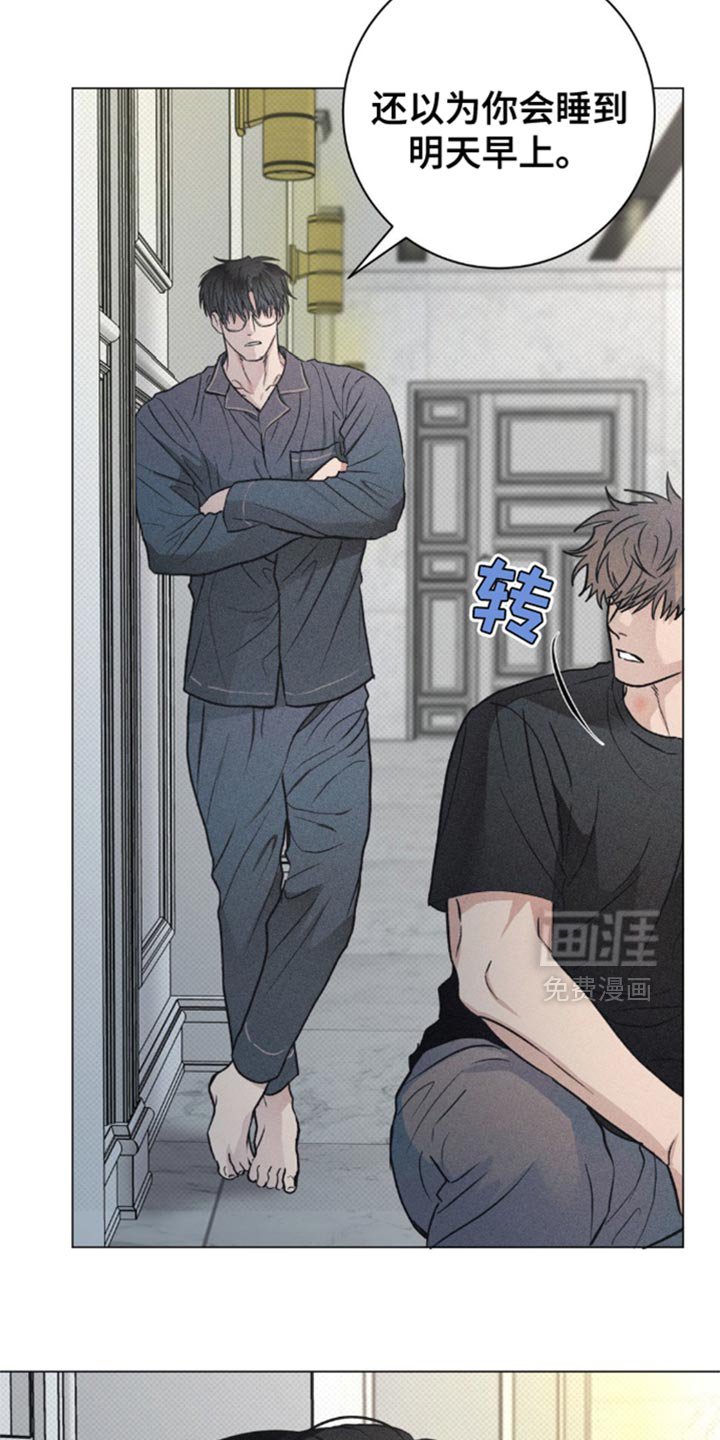 第28章：小猫咪