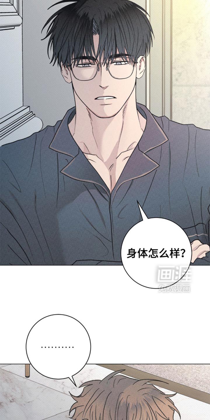 第28章：小猫咪