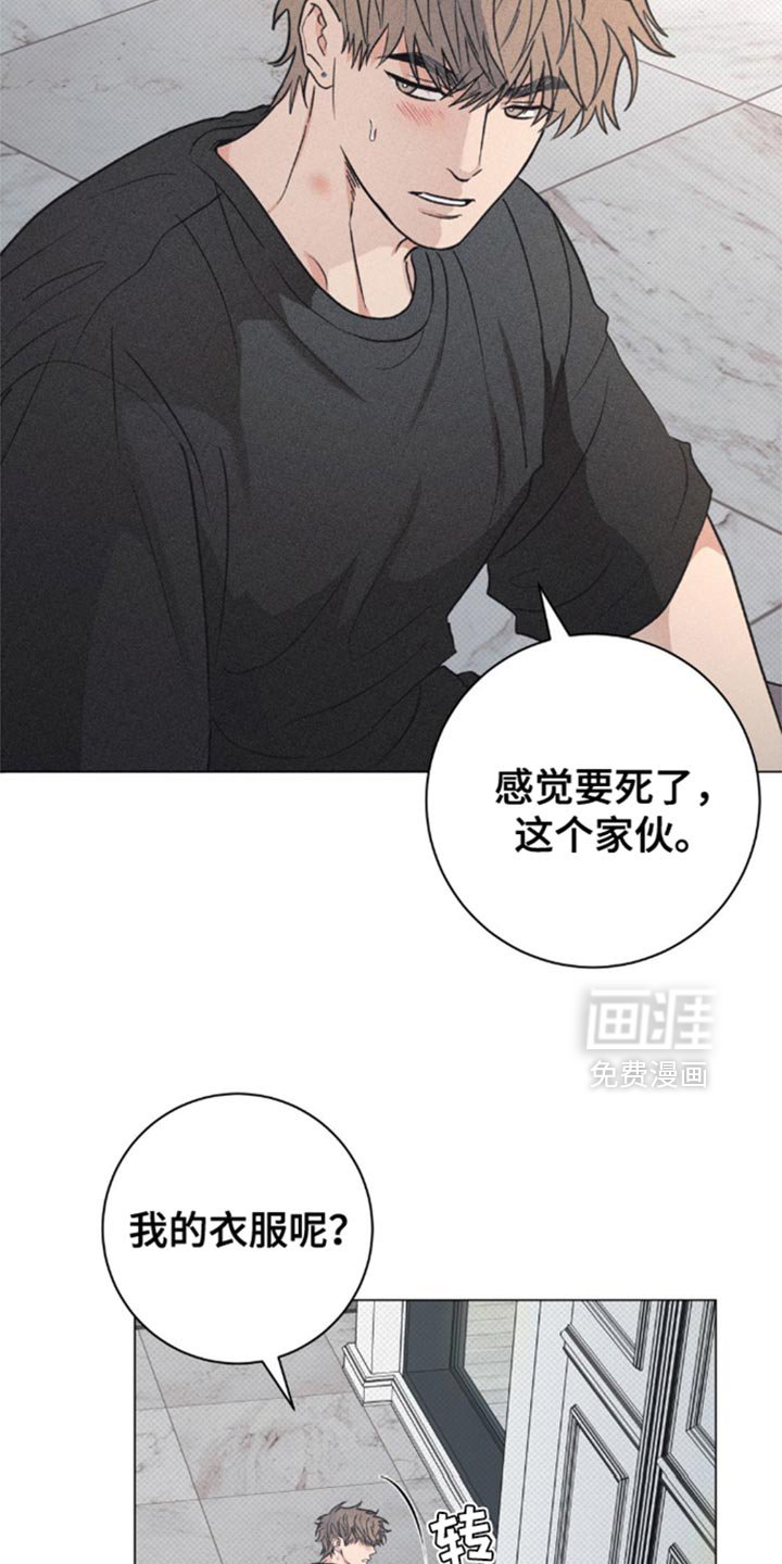 第28章：小猫咪