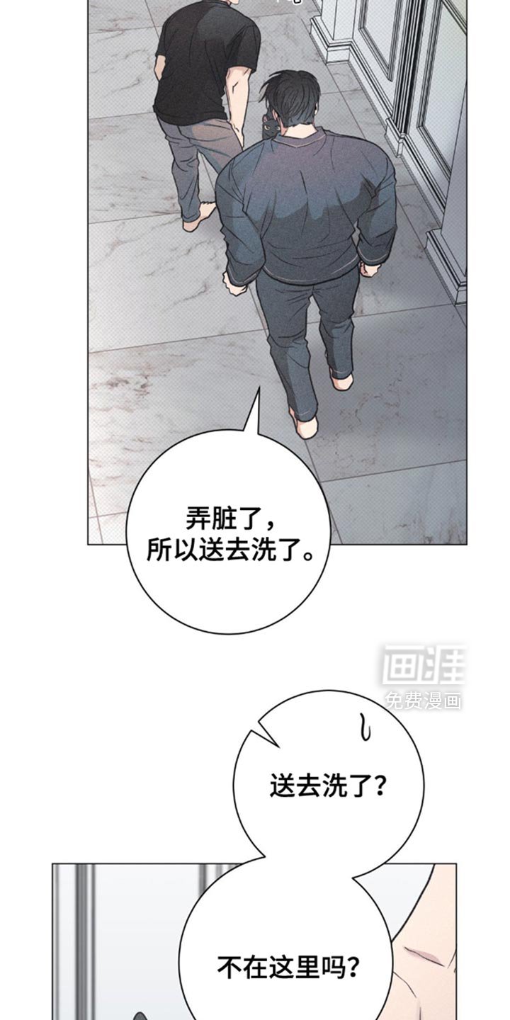 第28章：小猫咪