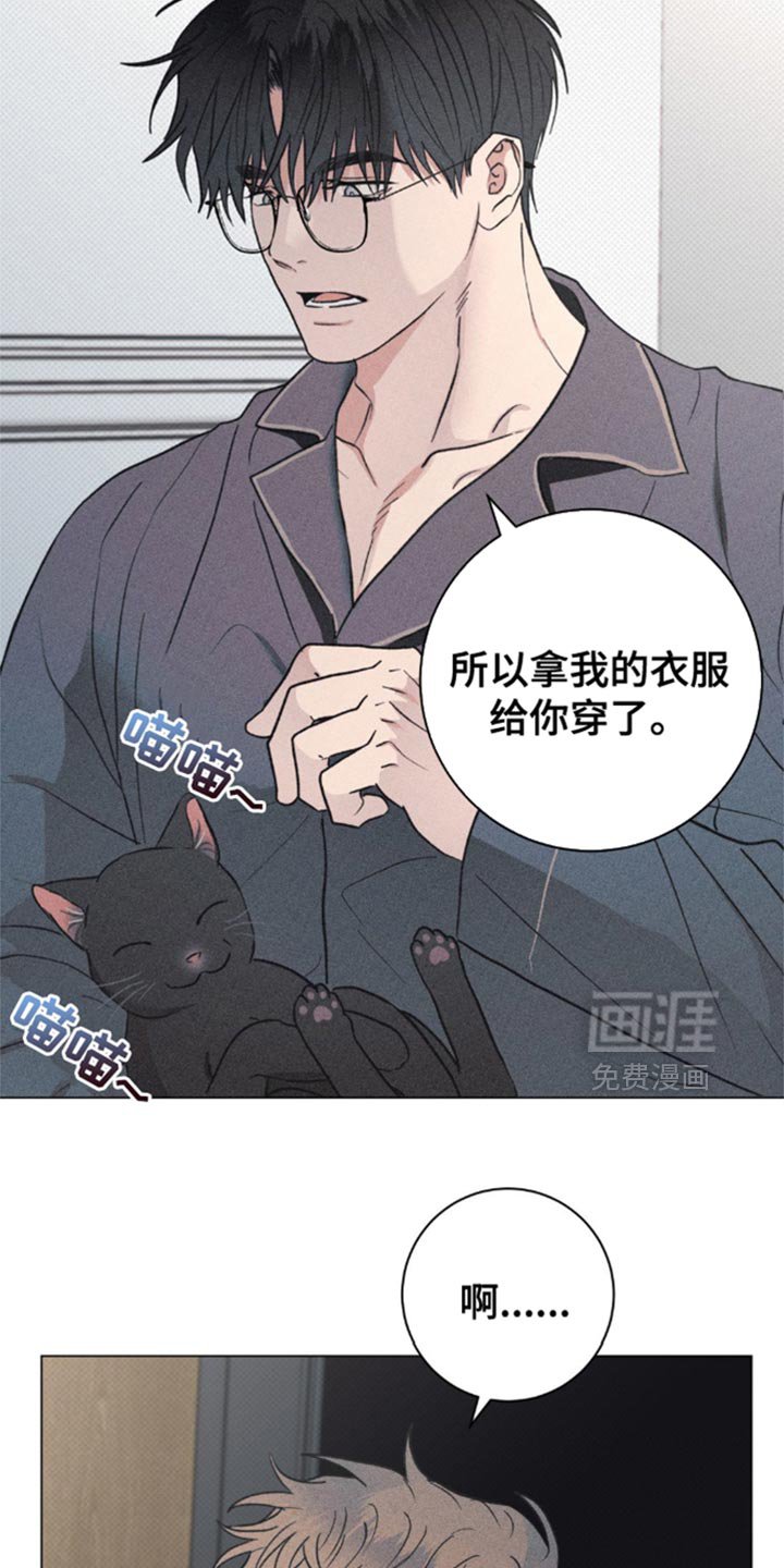 第28章：小猫咪