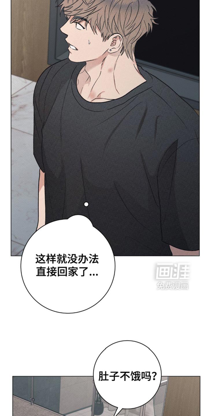 第28章：小猫咪
