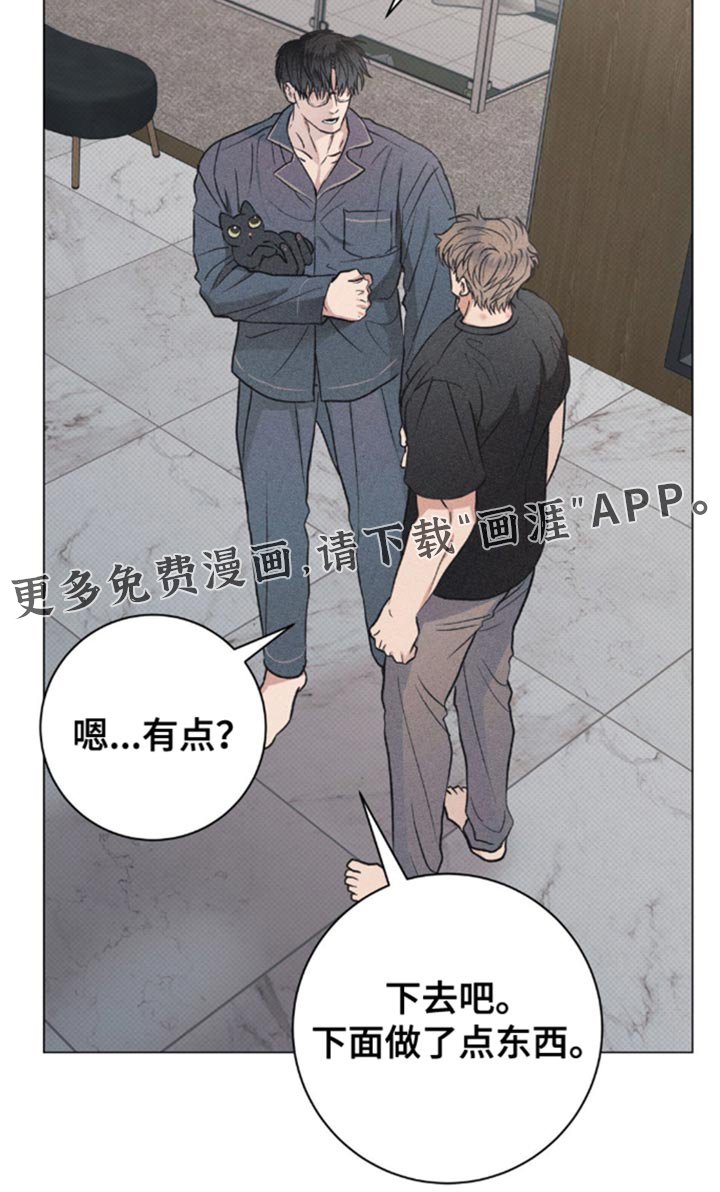 第28章：小猫咪