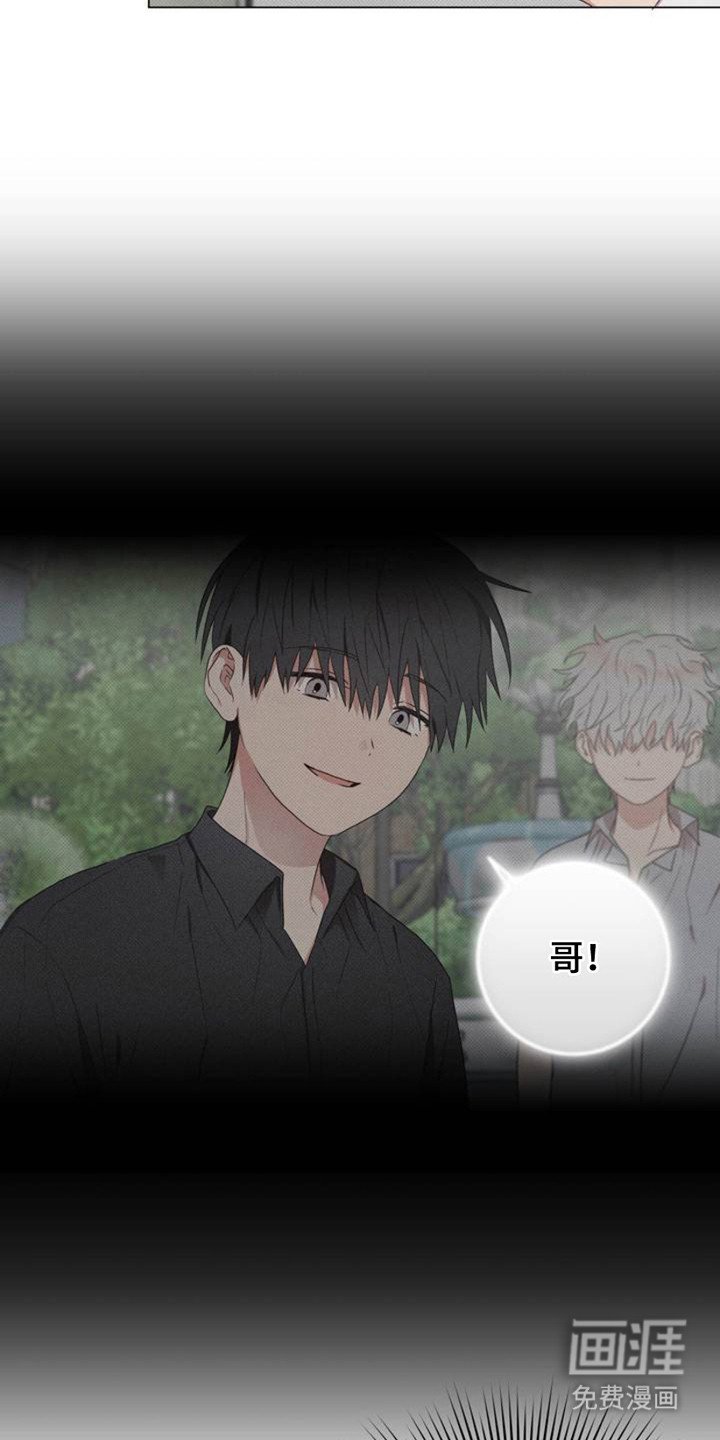 第3章：信息素