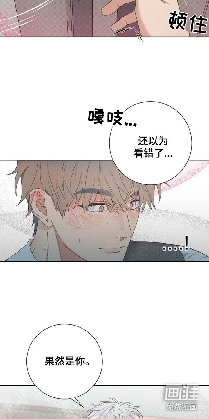 第3章：信息素