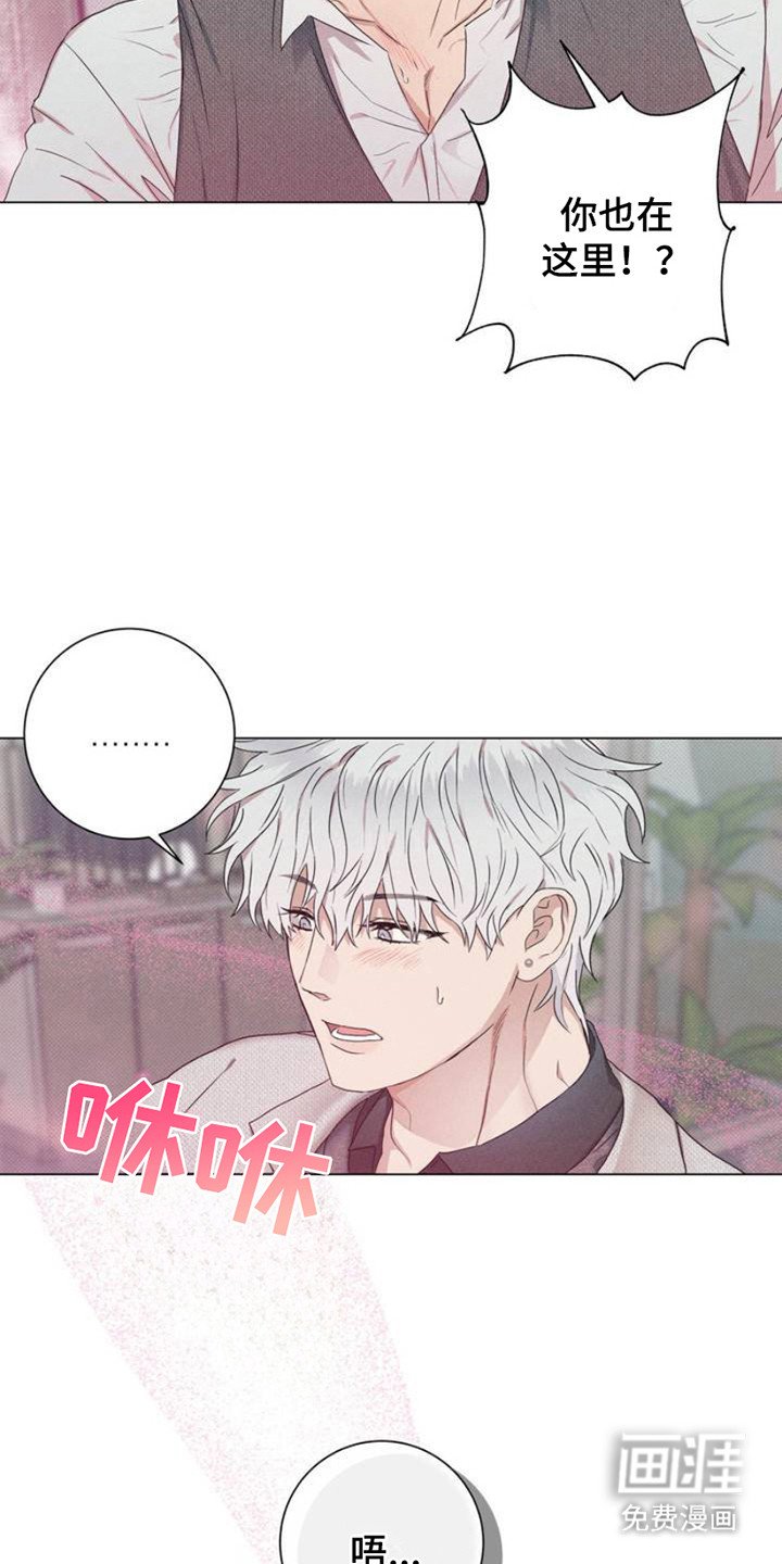 第3章：信息素