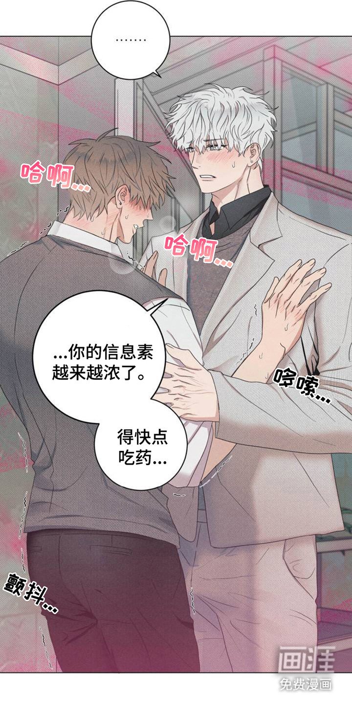 第3章：信息素