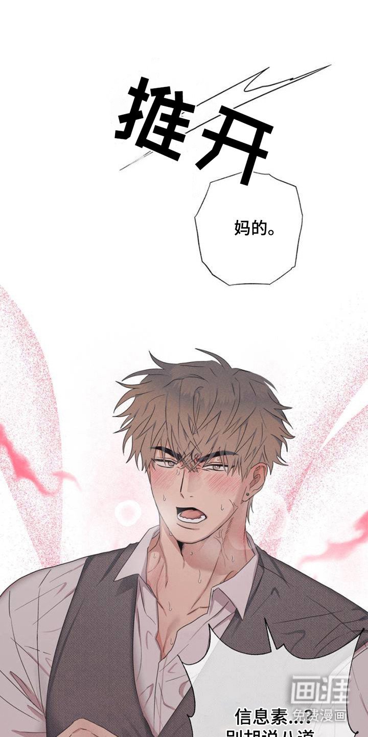 第3章：信息素