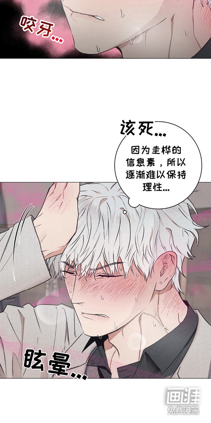 第3章：信息素