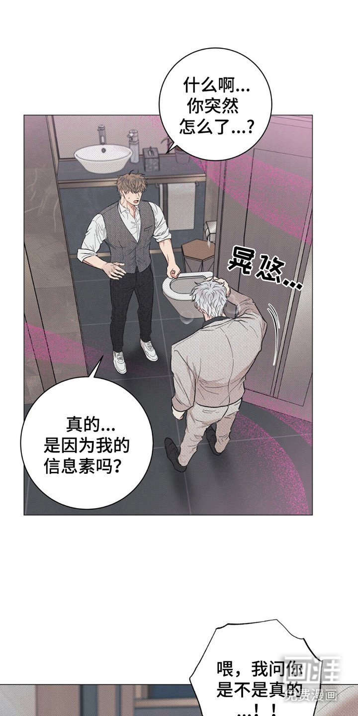 第3章：信息素