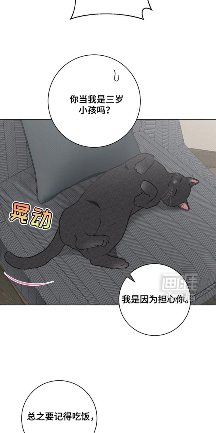 第31章：我的照片
