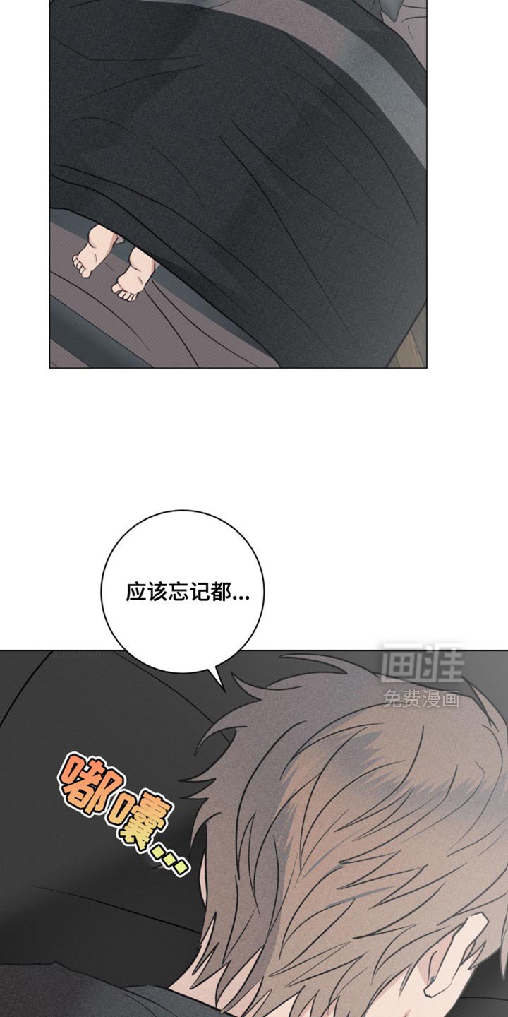 第31章：我的照片
