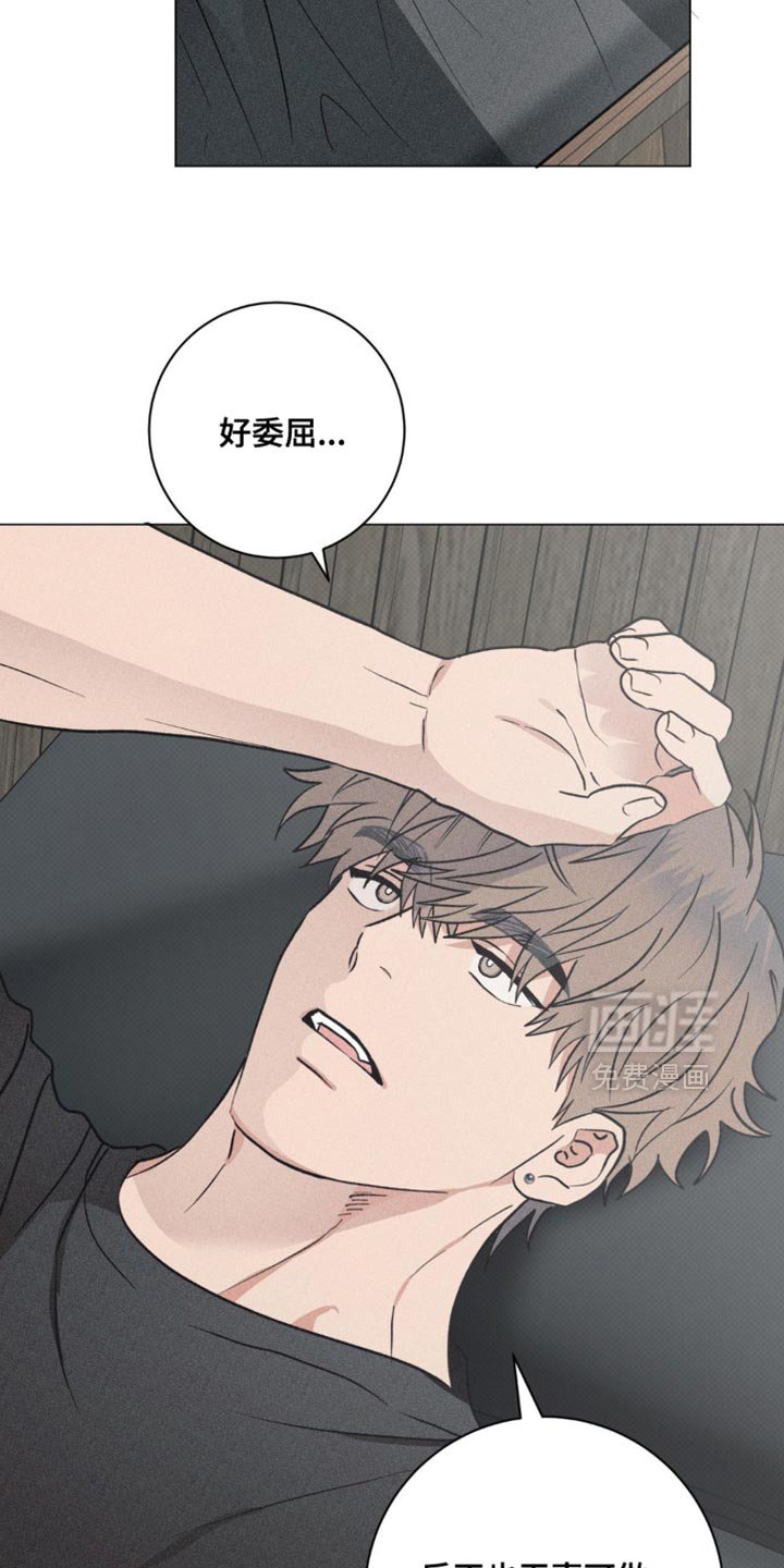 第31章：我的照片