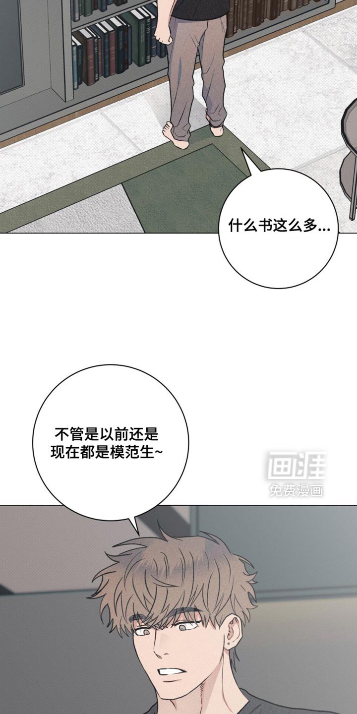 第31章：我的照片