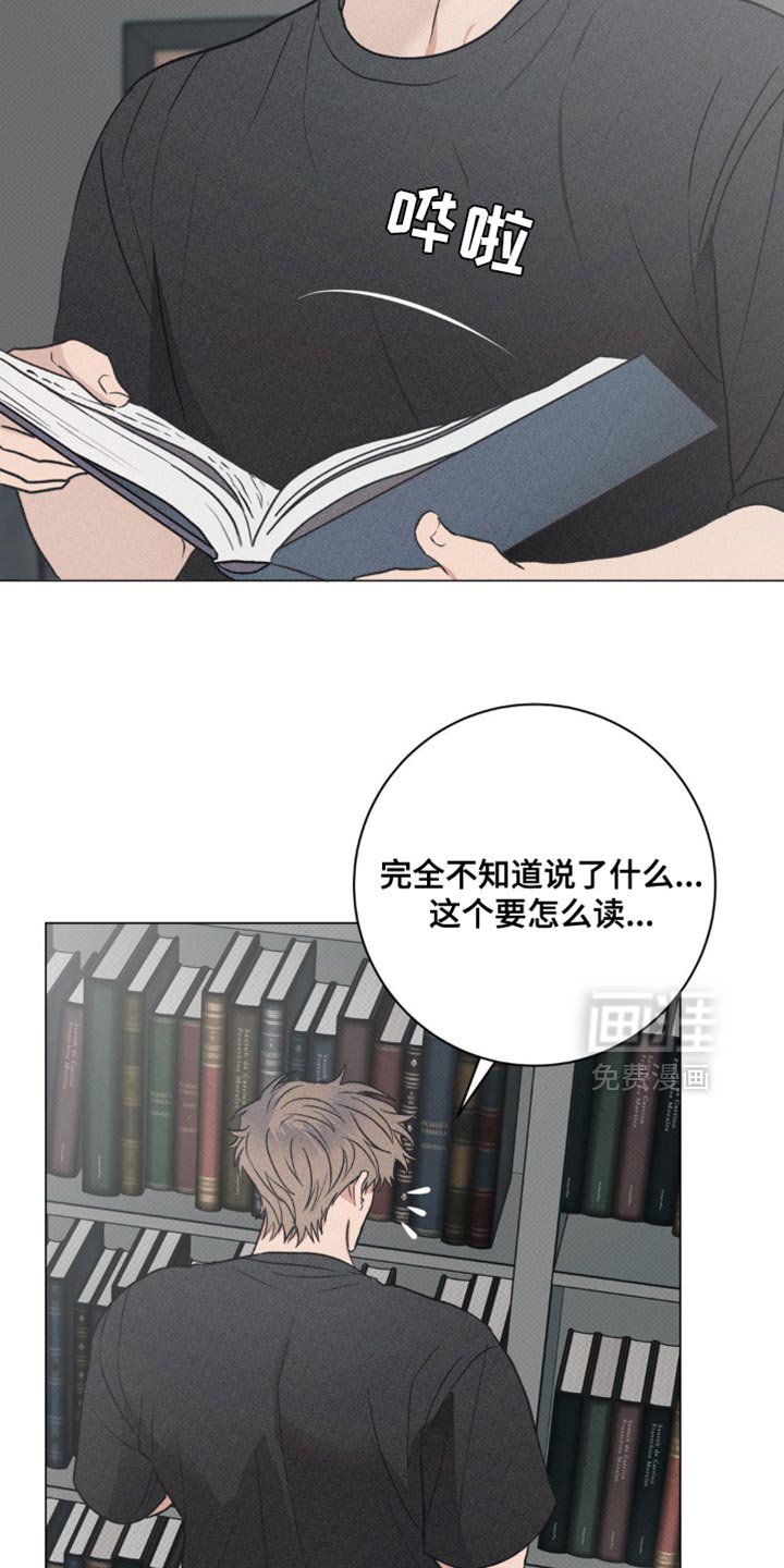 第31章：我的照片