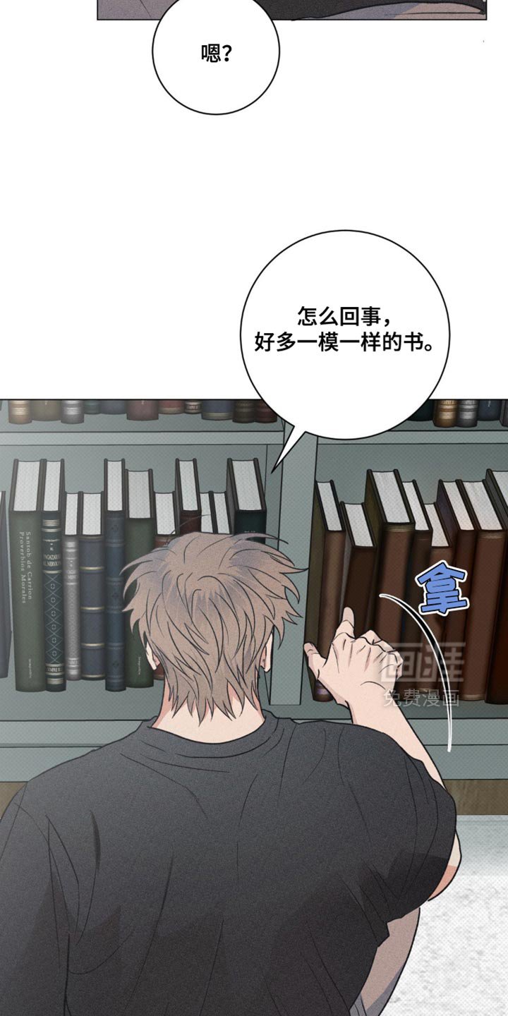 第31章：我的照片