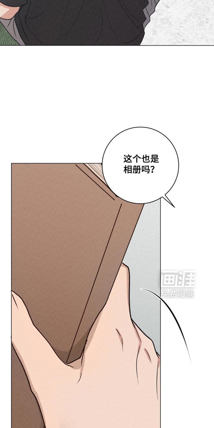 第31章：我的照片