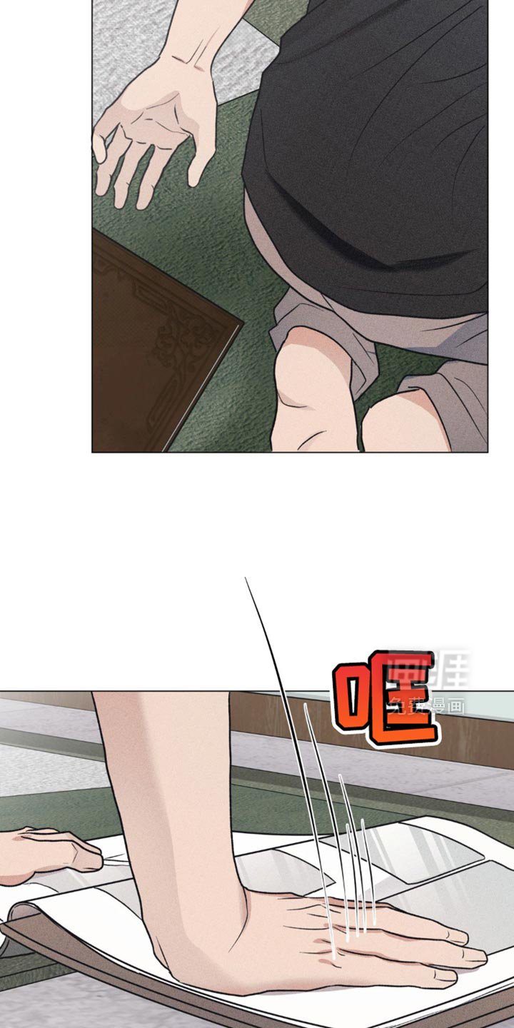 第31章：我的照片