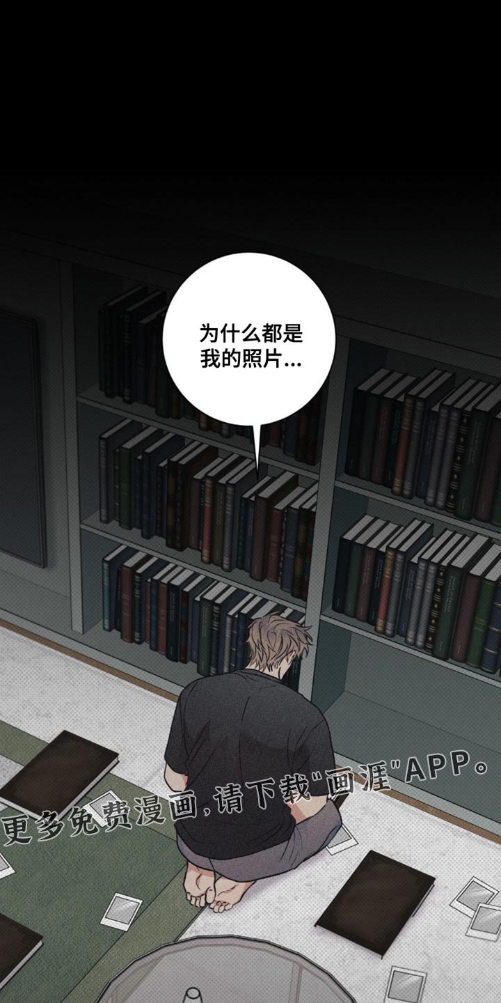 第31章：我的照片