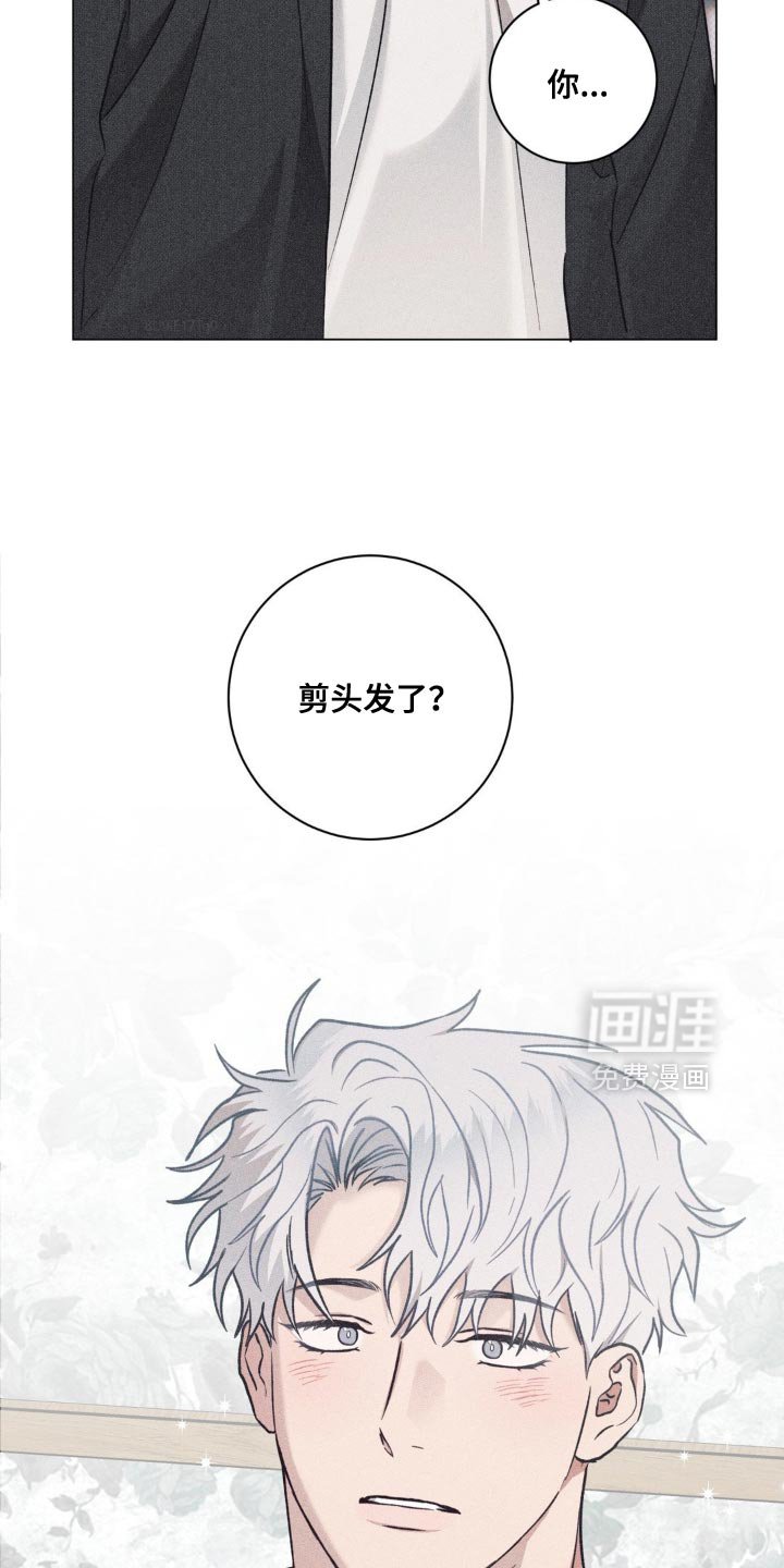 第39章：气质变了