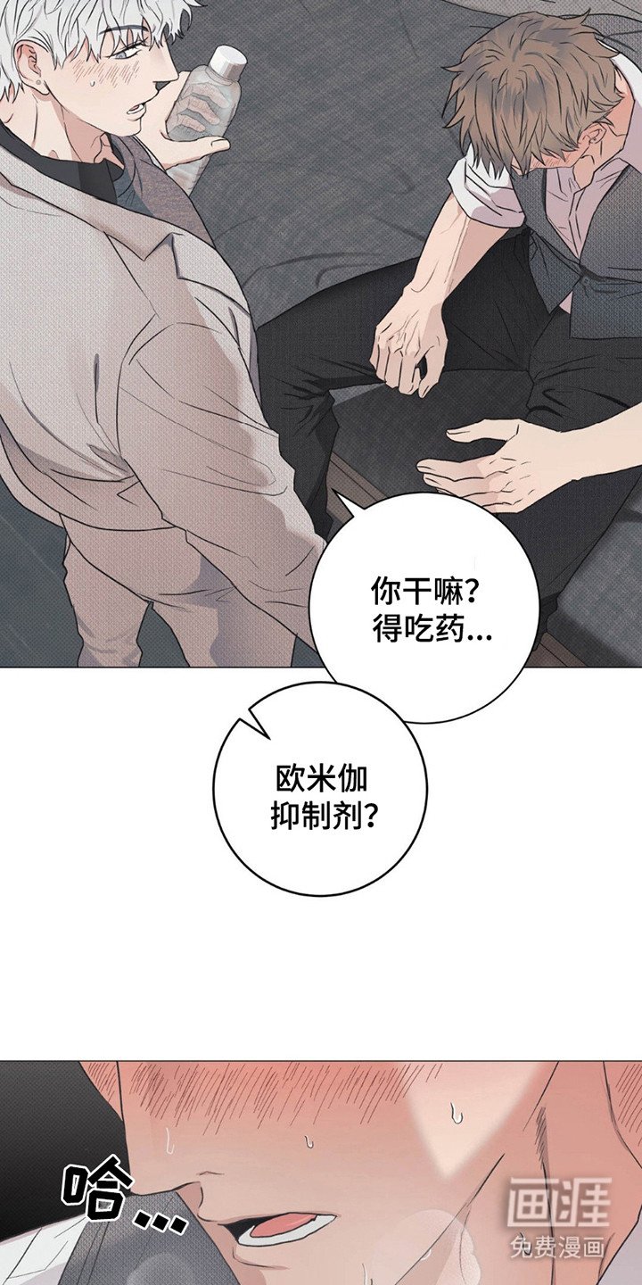 第4章：头晕