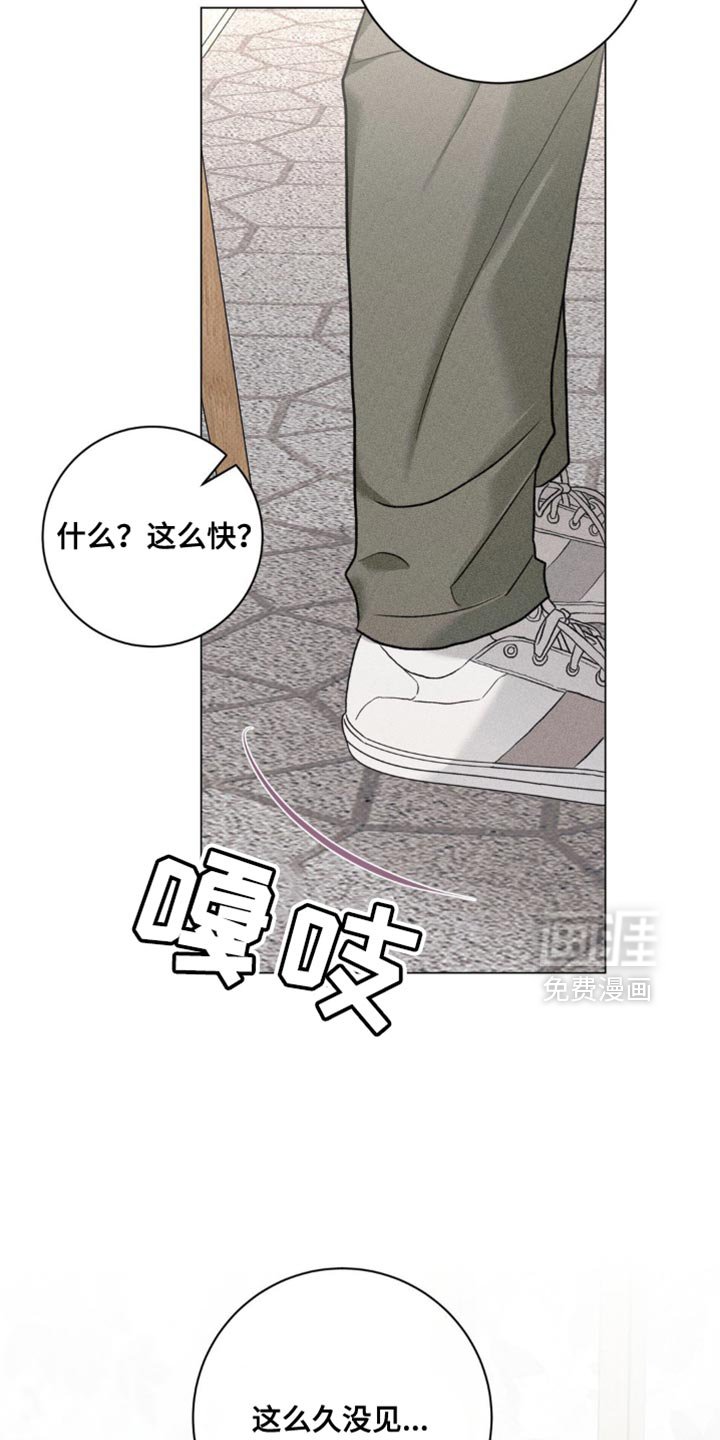 第41章：好久不见