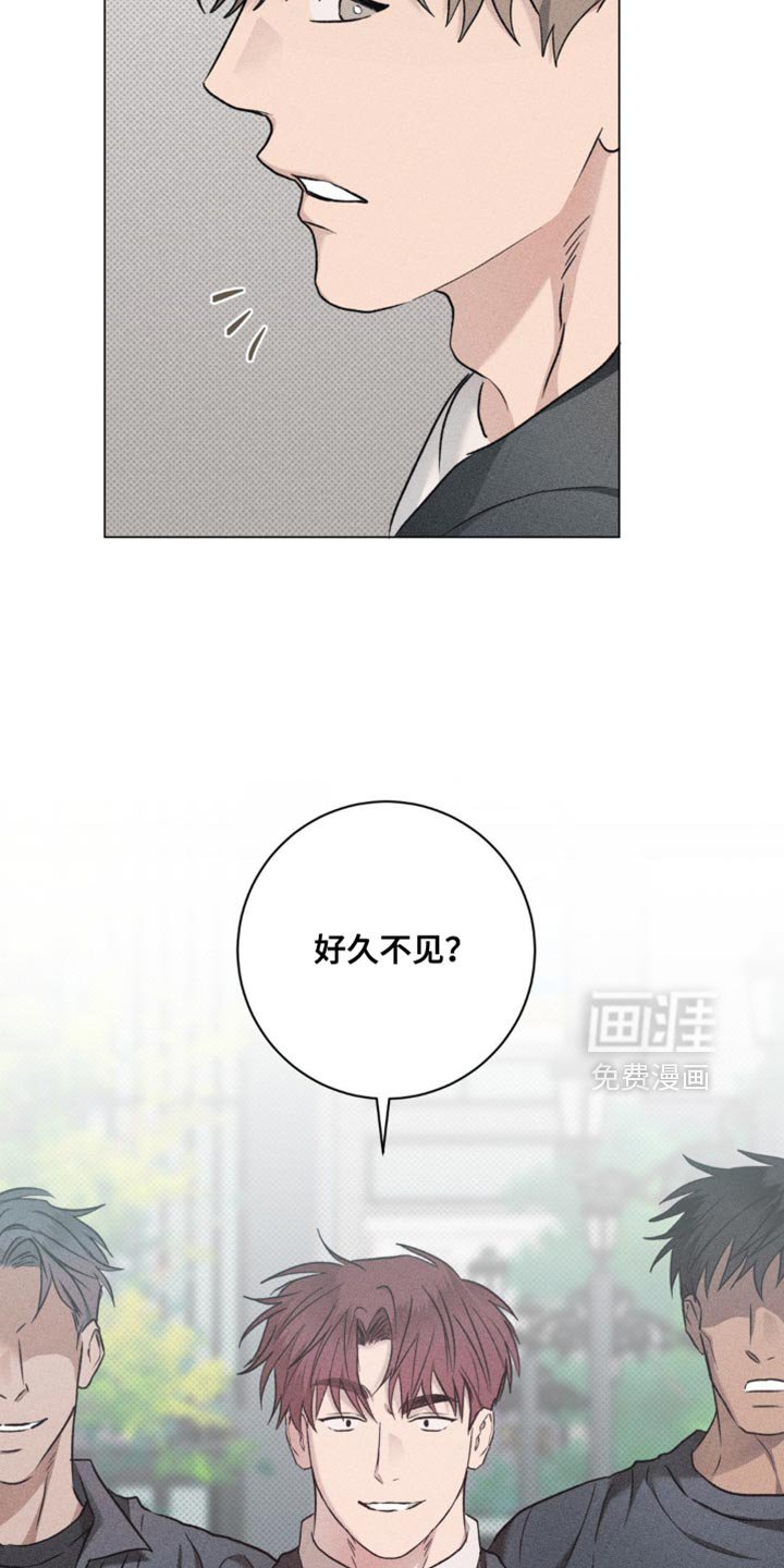 第41章：好久不见
