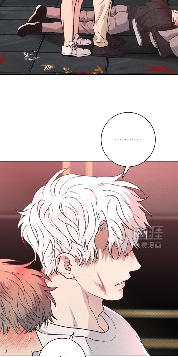 第44章：到此为止