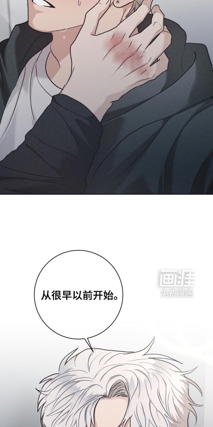 第45章：我喜欢你