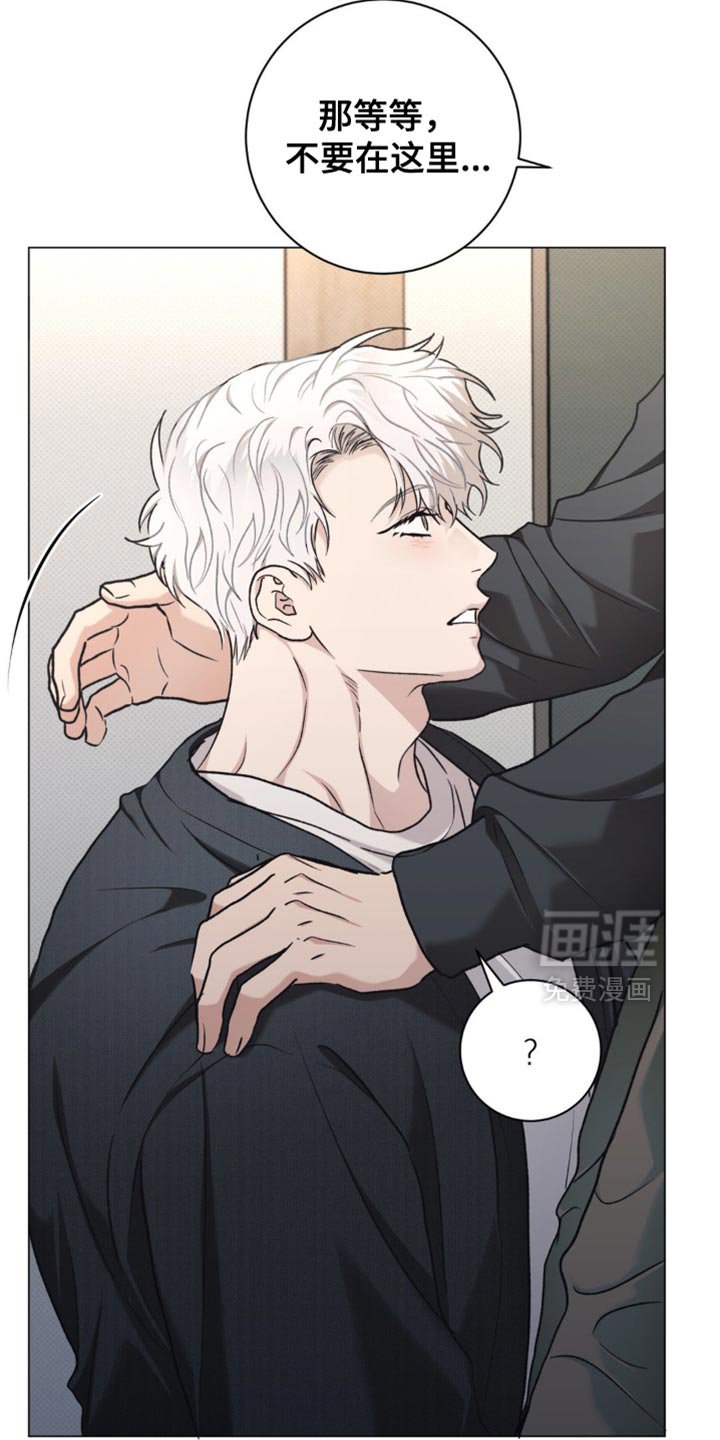 第45章：我喜欢你