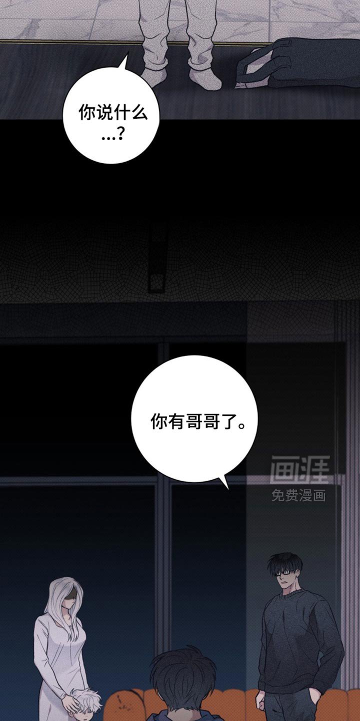 第49章：你有哥哥了
