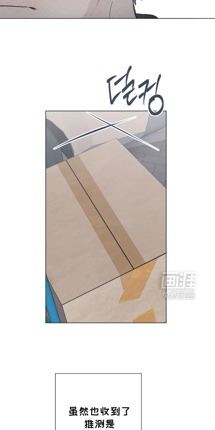 第53章：没用的想法