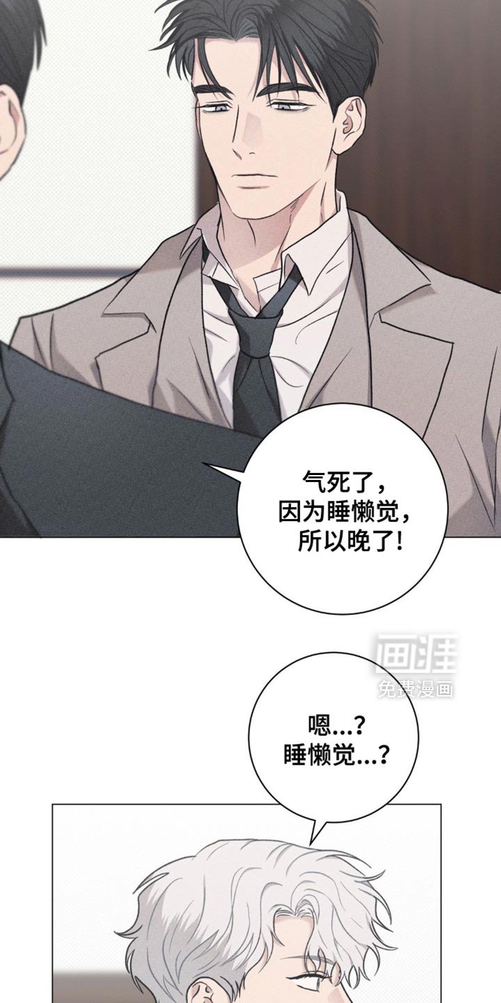 第53章：没用的想法